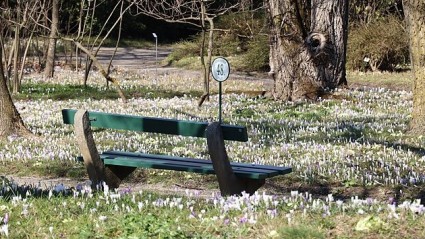 ZAG: Zagreb Spring Festival - Where Cobblestones Echo With Symphony