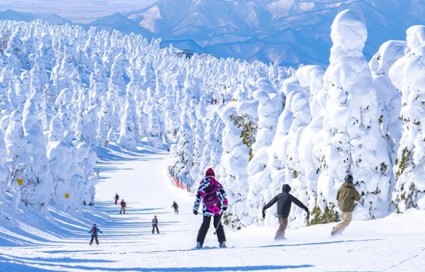 Japan Introduces Tourist Entry Fee & Dual Pricing: What Luxury Travelers Need to Know